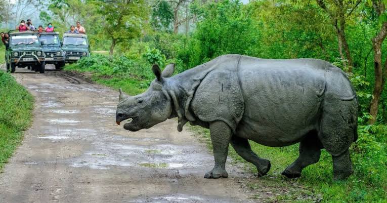 Pohitora Wildlife Sanctuary